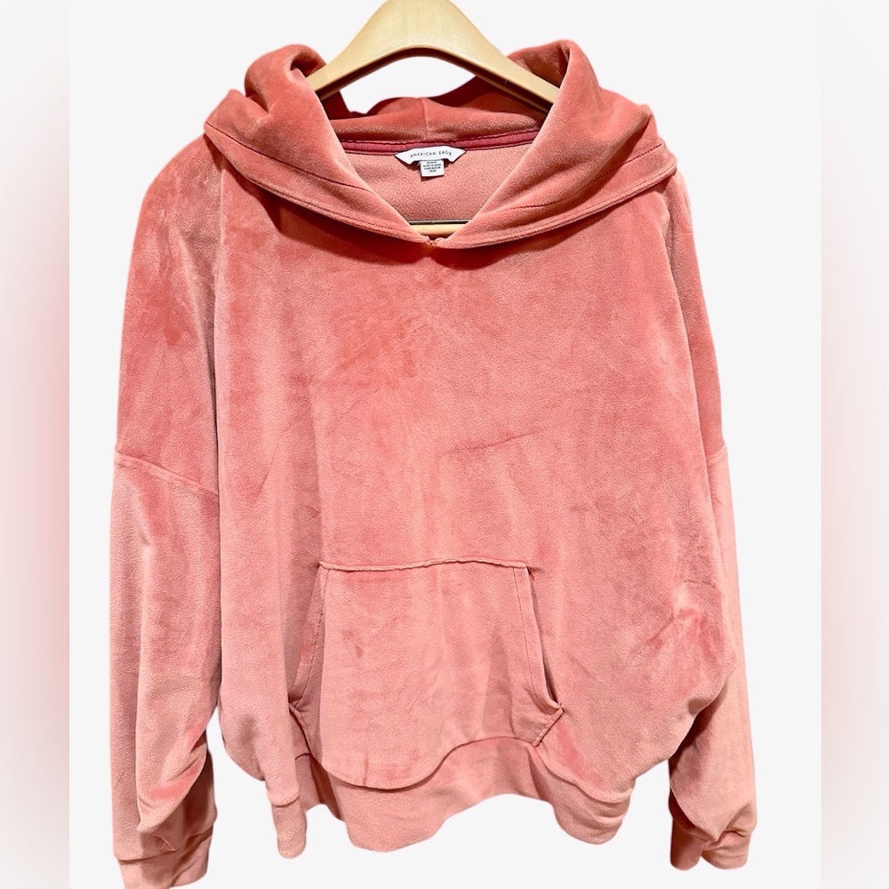 American Eagle Outfitters Velour Hoodie